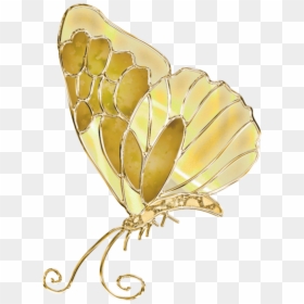 #gold #butterfly - Butterfly, HD Png Download - gold butterfly png