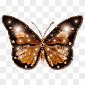 Animated Butterfly Wallpaper Moving, HD Png Download - gold butterfly png