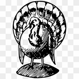 Turkey Black And White Transparent Png Clipart Free - Black And White Turkey, Png Download - thanksgiving transparent png
