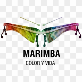 Chonta Ilustraci N Pinterest - Insect, HD Png Download - marimba png