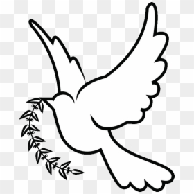 White Dove Drawing, HD Png Download - dove png