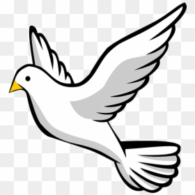 Dove Clipart Transparent Background, HD Png Download - dove png