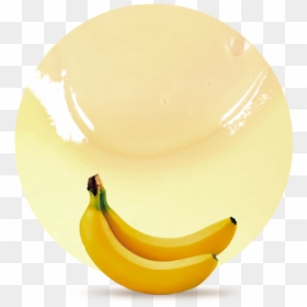 Saba Banana, HD Png Download - banana png