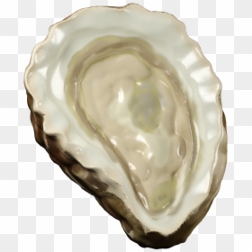 Clean Oyster, HD Png Download - vs png