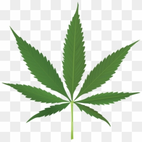 Cannabis Leaf Transparent Background, HD Png Download - weed png