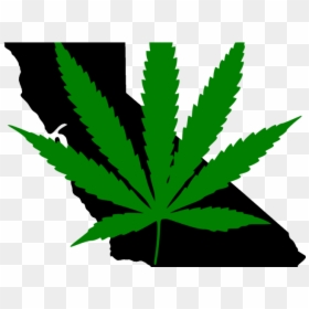 Png Weed, Transparent Png - weed png