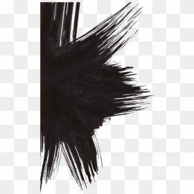 Splash, HD Png Download - splash png