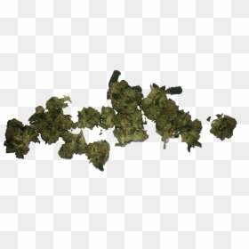 Weed Nuggets Transparent Background, HD Png Download - weed png