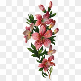 Flowers With Leaves Png, Transparent Png - leaves png