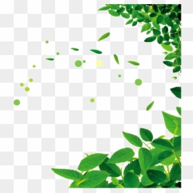 Green Leaf Frame Png, Transparent Png - leaves png