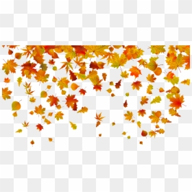 Falling Leaves No Background, HD Png Download - leaves png