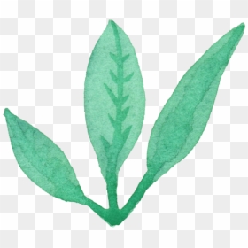 Free Leaves Watercolor Png, Transparent Png - leaves png