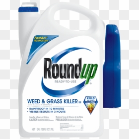 Grass And Weed Killer, HD Png Download - weed png