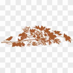 Transparent Designs Fall Leaves, HD Png Download - leaves png