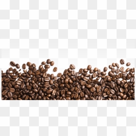 Coffee Beans Png, Transparent Png - coffee png