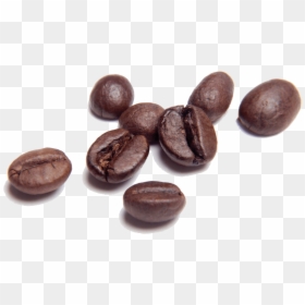 Animated Gif Coffee Bean Gif, HD Png Download - coffee png