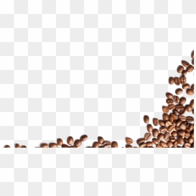Coffee Bean Png, Transparent Png - coffee png