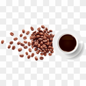 Transparent Background Coffee Bean Png, Png Download - coffee png