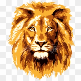 Lion Face Transparent Background, HD Png Download - lion png