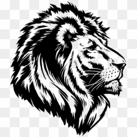 Black And White Lion Png, Transparent Png - lion png