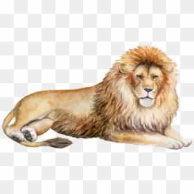 Löwe Aquarell, HD Png Download - lion png