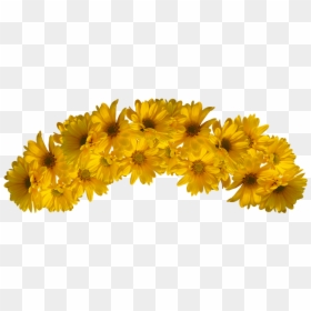 Yellow Flower Crown Png, Transparent Png - flower crown png
