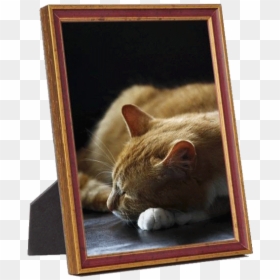 Frame With Photo Png, Transparent Png - mobile frame png