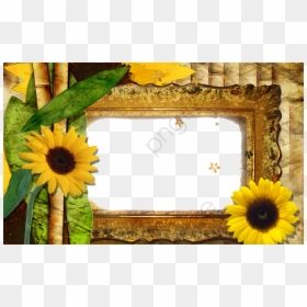 Border And Frame Sunflower, HD Png Download - sunflower png