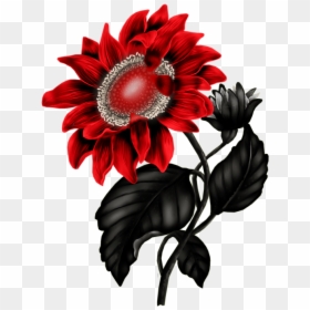 Real Transparent Png Sunflowers Clipart, Png Download - sunflower png