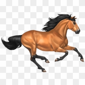 Transparent Background Horse Clipart, HD Png Download - horse png