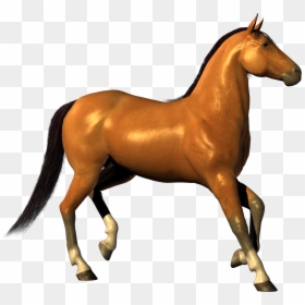 Horse White Background Hd, HD Png Download - horse png