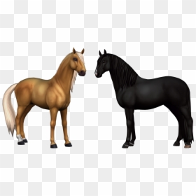 Lisa Peterson Star Stable, HD Png Download - horse png