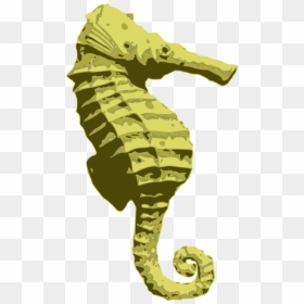 Northern Seahorse, HD Png Download - horse png