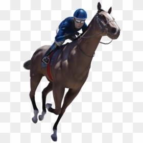 Jockey Horse Png, Transparent Png - horse png