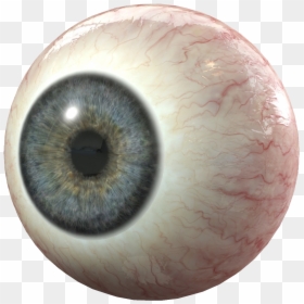Human Eye Transparent Background, HD Png Download - eyes png