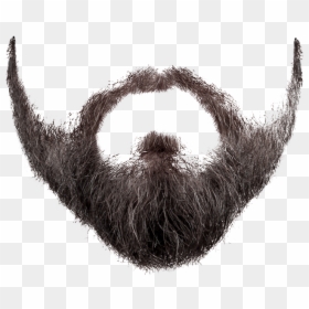 Free Beard Png Images Hd Beard Png Download Vhv - old man beard roblox