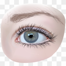 Eye Png, Transparent Png - eyes png