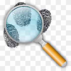 Magnifying Glass Fingerprint Png, Transparent Png - magnifying glass png