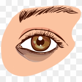 Get Rid Of Dark Circles Fast, HD Png Download - eyes png