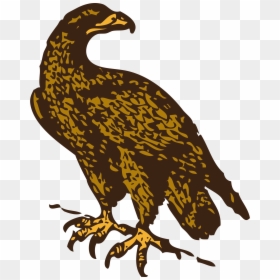 Clip Art Golden Eagle, HD Png Download - eagle png