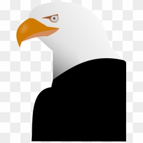 Eagle, HD Png Download - eagle png