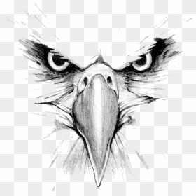 Eagle Face Tattoo Design, HD Png Download - eagle png