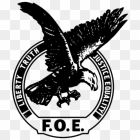 Vector Fraternal Order Of Eagles, HD Png Download - eagle png
