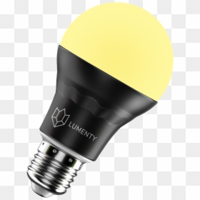 Compact Fluorescent Lamp, HD Png Download - light bulb png
