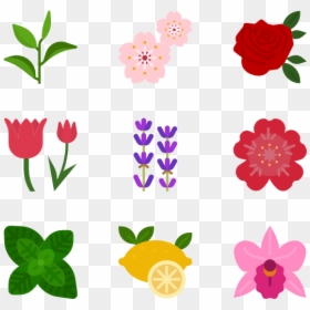 Flower Icon Png, Transparent Png - plant png