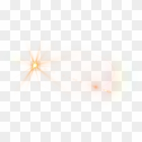 Insect, HD Png Download - flare png