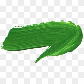 Green Paint Brush Stroke Png, Transparent Png - plant png