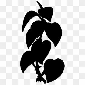Black Plants Clip Art, HD Png Download - plant png