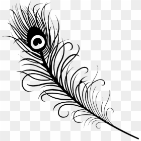 Peacock Feather Vector Png, Transparent Png - mor pankh png