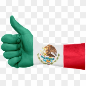Cinco De Mayo Png, Transparent Png - cinco de mayo png